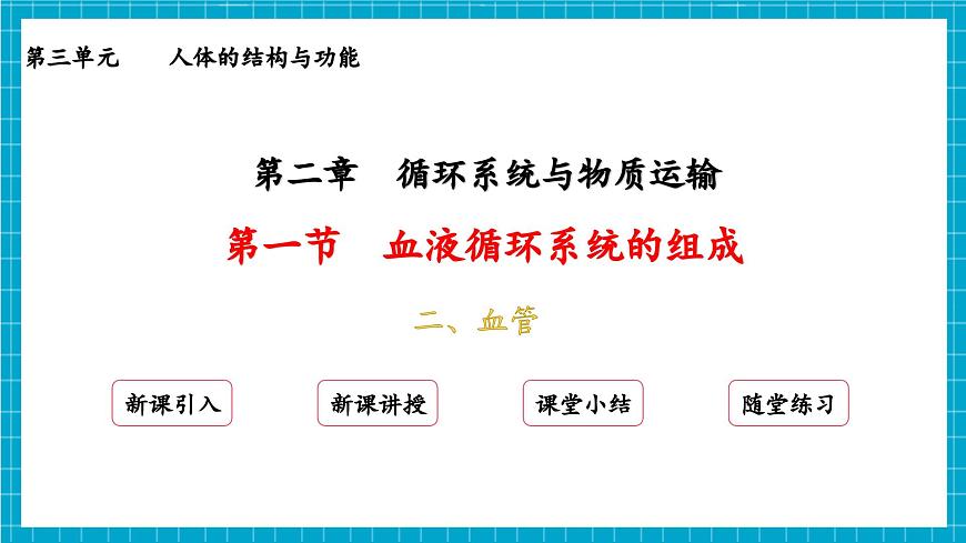 【新教材】冀少版生物七年級下冊3.2.1 血液循環(huán)系統(tǒng)的組成(二、血管) 課件第2頁