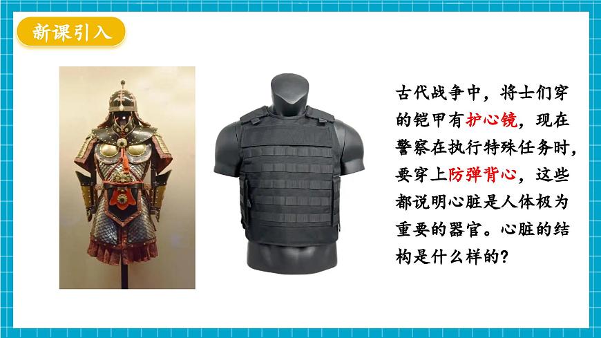 【新教材】冀少版生物七年級下冊3.2.1 血液循環(huán)系統(tǒng)的組成(三、心臟) 課件第3頁
