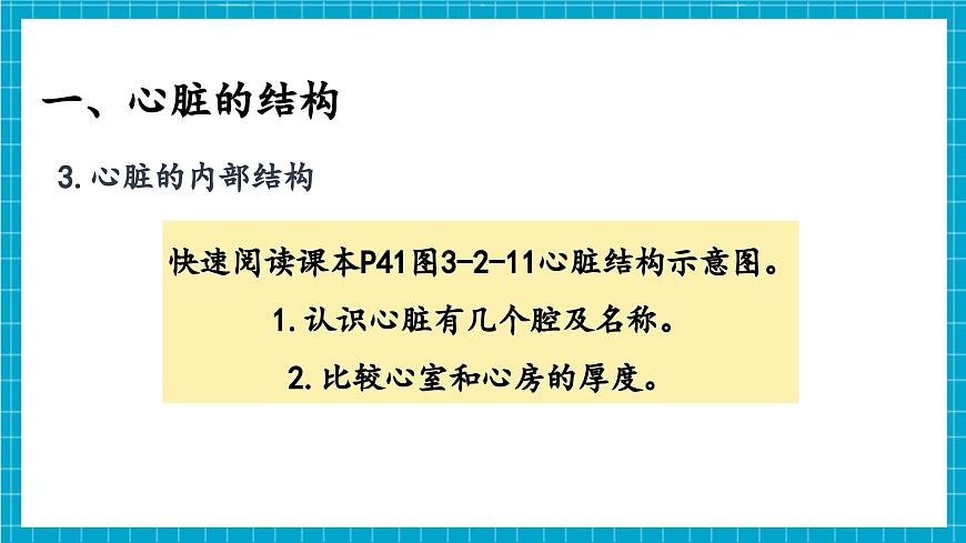 【新教材】冀少版生物七年級下冊3.2.1 血液循環(huán)系統(tǒng)的組成(三、心臟) 課件第6頁