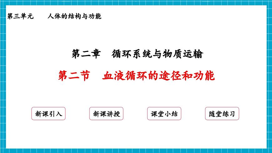 【新教材】冀少版生物七年級(jí)下冊(cè)3.2.2 血液循環(huán)的途徑和功能 課件第2頁(yè)