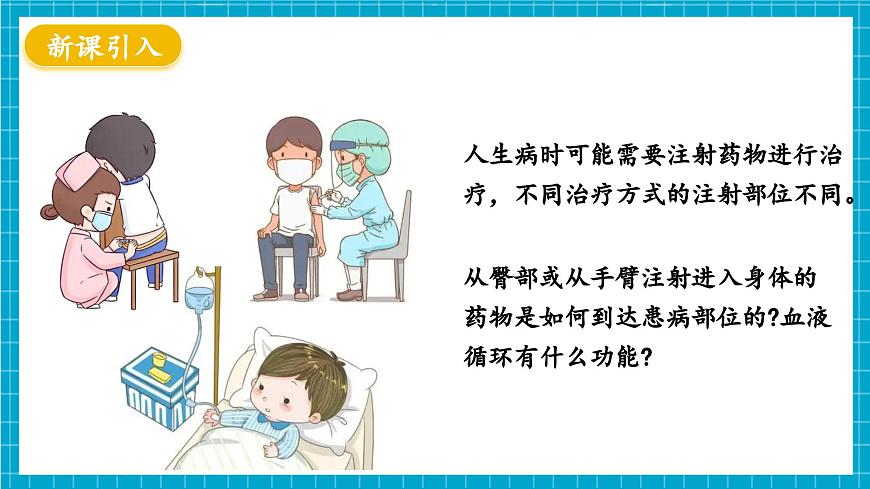 【新教材】冀少版生物七年級(jí)下冊(cè)3.2.2 血液循環(huán)的途徑和功能 課件第3頁(yè)