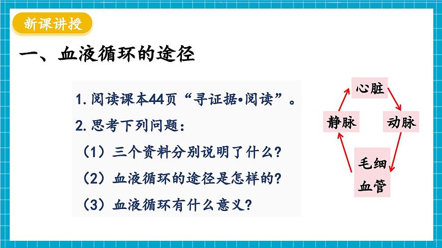 【新教材】冀少版生物七年級(jí)下冊(cè)3.2.2 血液循環(huán)的途徑和功能 課件第4頁(yè)