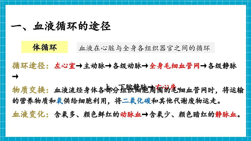 【新教材】冀少版生物七年級(jí)下冊(cè)3.2.2 血液循環(huán)的途徑和功能 課件第6頁(yè)