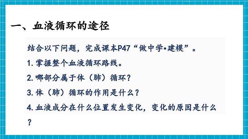 【新教材】冀少版生物七年級(jí)下冊(cè)3.2.2 血液循環(huán)的途徑和功能 課件第8頁(yè)