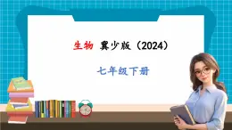 【新教材】冀少版生物七年级下册3.3.2 呼吸的过程(一、肺与外界的气体交换) 课件