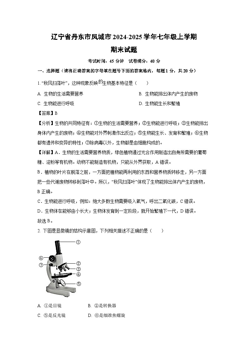 2024-2025学年辽宁省丹东市凤城市七年级上学期期末生物试卷(解析版)第1页