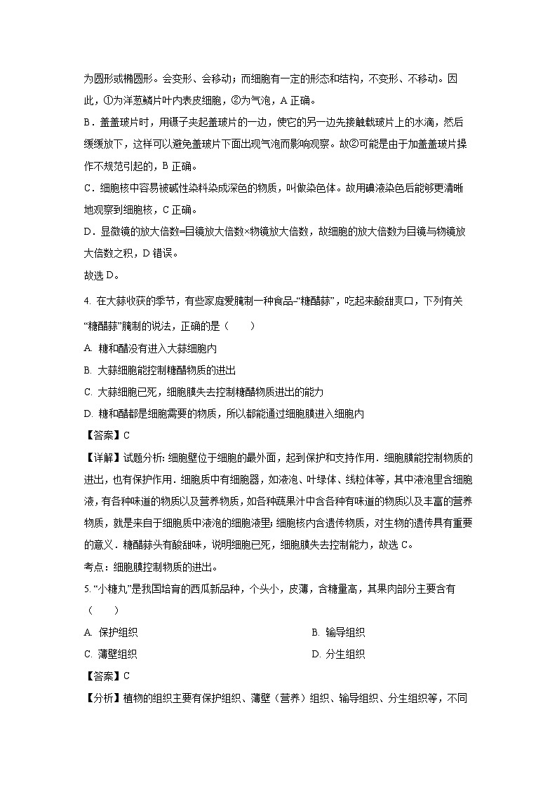 2024-2025学年辽宁省丹东市凤城市七年级上学期期末生物试卷(解析版)第3页