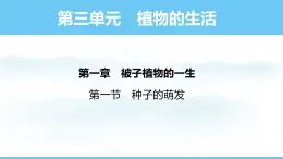 人教版（2024）七年级生物下册课件 第三单元 第一章 第一节种子的萌发