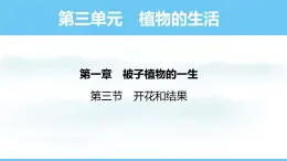 人教版（2024）七年级生物下册课件 第三单元 第一章 第三节开花和结果