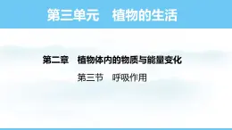 人教版（2024）七年级生物下册课件 第三单元 第二章 第三节 呼吸作用