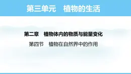 人教版（2024）七年级生物下册课件 第三单元 第二章 第四节 植物在自然界中的作用