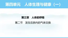 人教版（2024）七年级生物下册课件 第四单元 第三章 第二节发生在肺内的气体交换