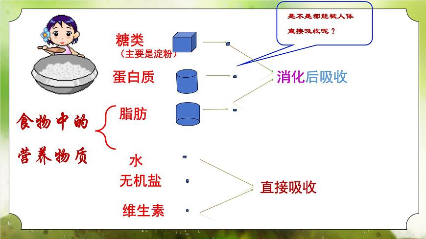 【核心素養(yǎng)】人教版初中生物七年級(jí)下冊(cè)4.2.2《消化和吸收》課件第6頁