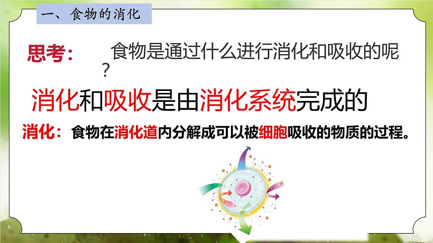 【核心素養(yǎng)】人教版初中生物七年級(jí)下冊(cè)4.2.2《消化和吸收》課件第7頁