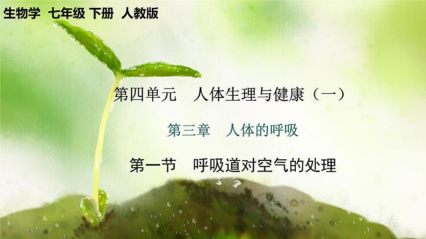 【核心素養(yǎng)】人教版初中生物七年級下冊4.3.1《呼吸道對空氣的處理》課件第1頁