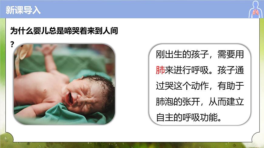 【核心素養(yǎng)】人教版初中生物七年級下冊4.3.1《呼吸道對空氣的處理》課件第5頁