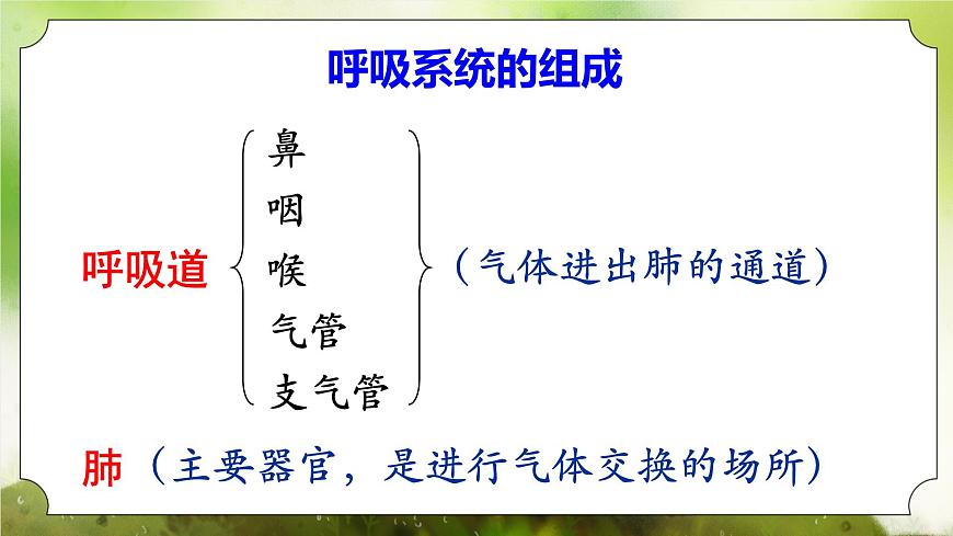 【核心素養(yǎng)】人教版初中生物七年級下冊4.3.1《呼吸道對空氣的處理》課件第8頁