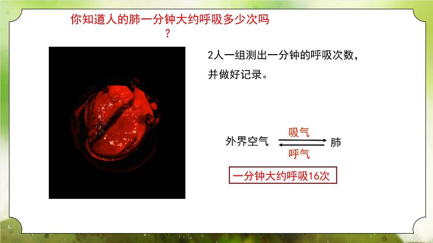 【核心素養(yǎng)】人教版初中生物七年級(jí)下冊(cè)4.3.2《發(fā)生在肺內(nèi)的氣體交換》課件第6頁