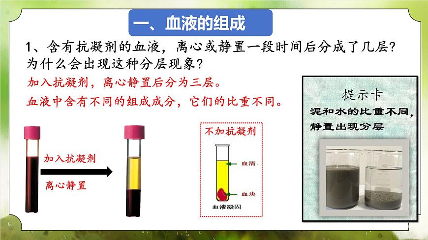 【核心素養(yǎng)】人教版初中生物七年級下冊4.4.1《流動的組織-血液》課件第8頁