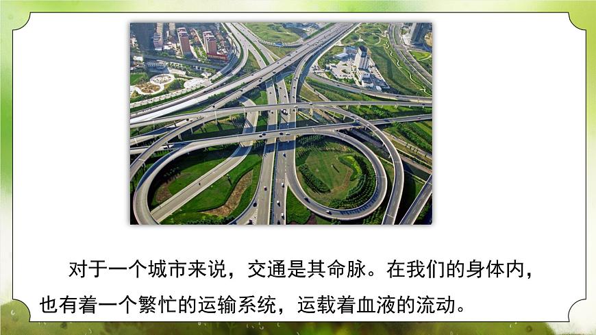 【核心素養(yǎng)】人教版初中生物七年級(jí)下冊(cè)4.4.2《血流的管道-血管》課件第5頁