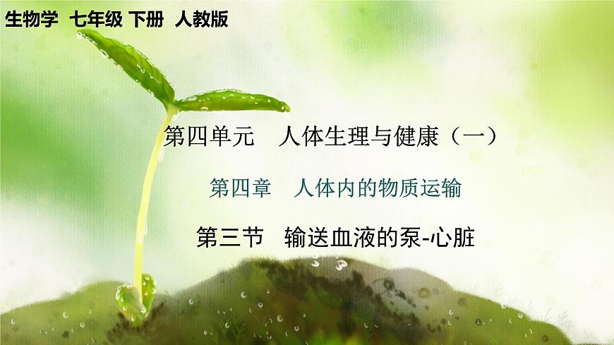 【核心素養(yǎng)】人教版初中生物七年級下冊4.4.3《輸送血液的泵-心臟》課件第1頁