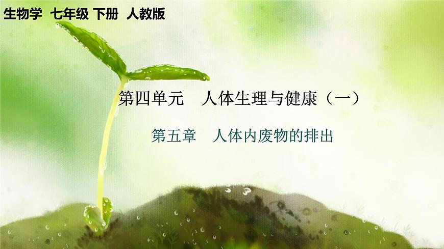 【核心素養(yǎng)】人教版初中生物七年級(jí)下冊(cè)4.5《人體內(nèi)廢物的排出》課件第1頁