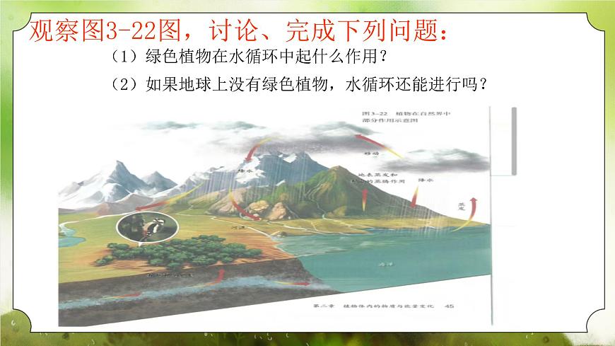 【核心素養(yǎng)】人教版初中生物七年級下冊3.2.4《植物在自然界中的作用》課件第7頁