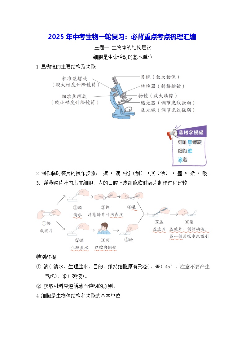 2025年中考生物一轮复习：必背重点考点梳理汇编 学案