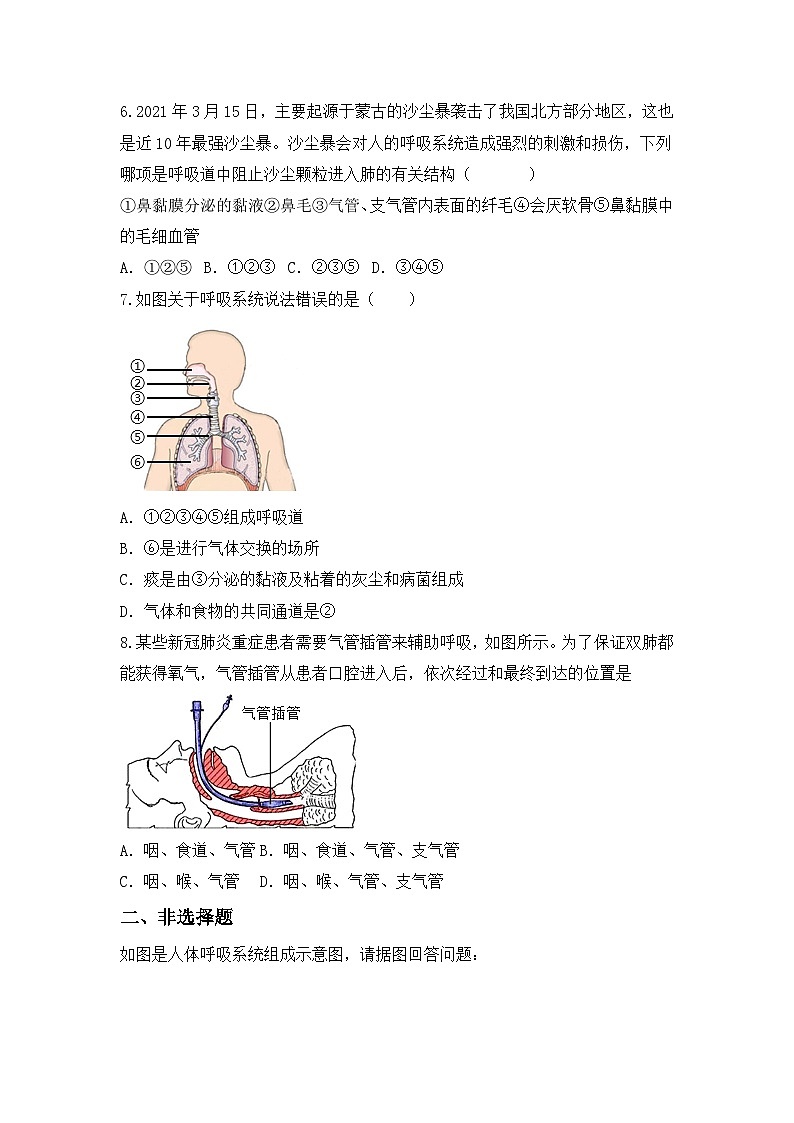 人教版初中生物七年级下册4.3.1《呼吸道对空气的处理》同步练习(含答案)第2页