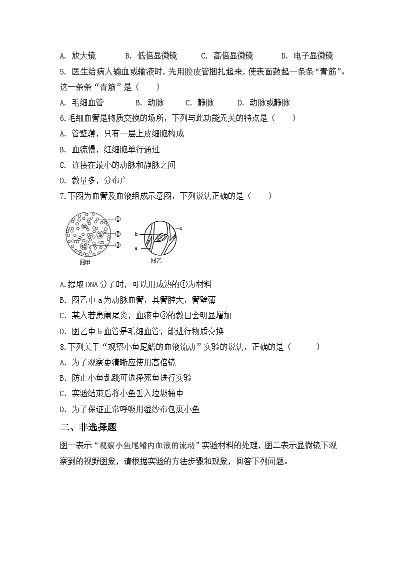 人教版初中生物七年级下册4.4.2《血流的管道—血管》同步练习(含答案)第2页