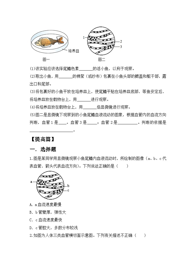 人教版初中生物七年级下册4.4.2《血流的管道—血管》同步练习(含答案)第3页