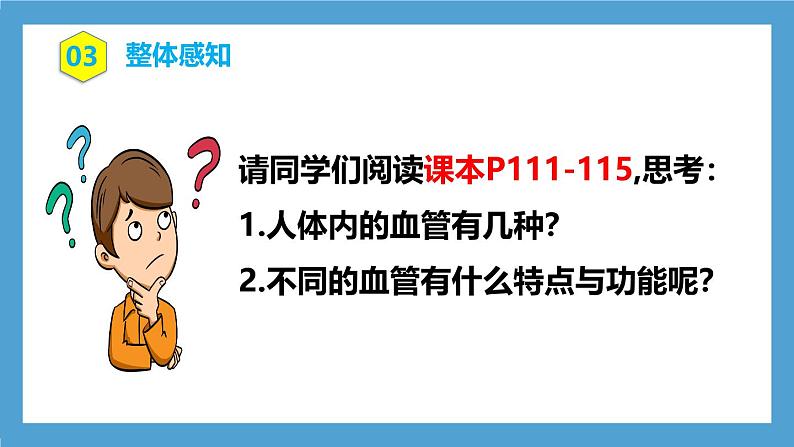 人教版初中生物七年级下册4.4.2《血流的管道—血管》课件第6页