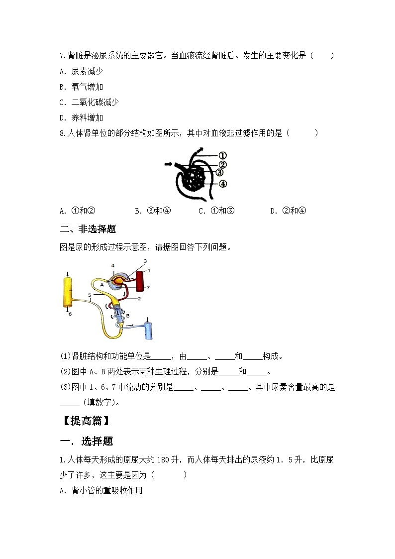 人教版初中生物七年级下册4.5《人体内废物的排出》同步练习(含答案)第2页