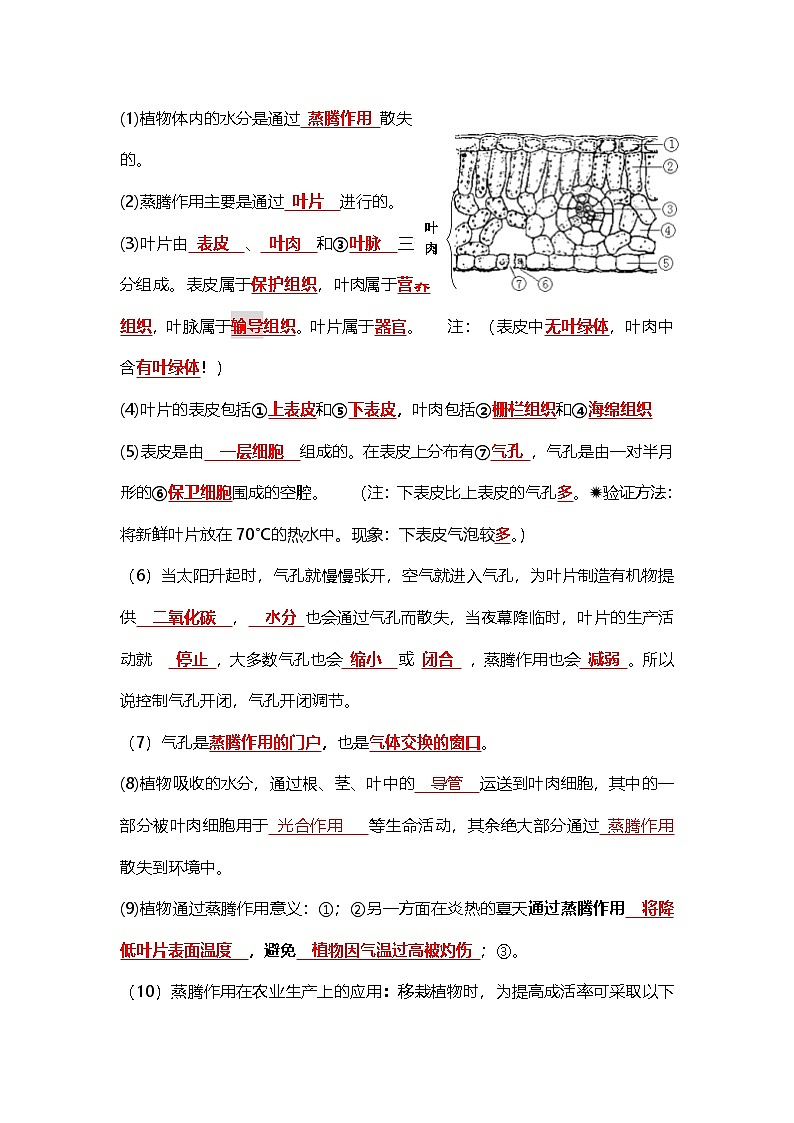 人教版初中生物七下3.2植物体内的物质与能量变化(教师版)第2页