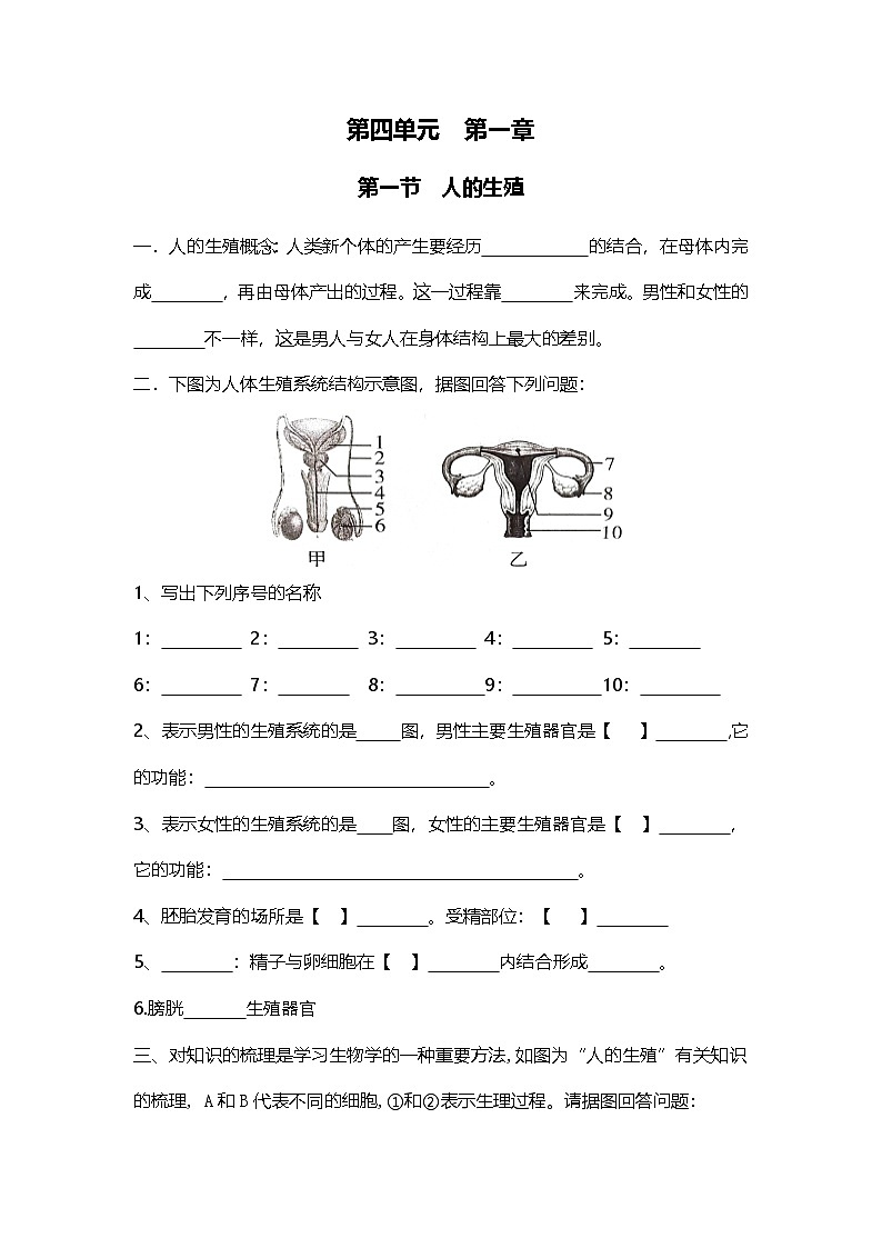 人教版初中生物七下4.1人的生殖和发育(学生版)第1页
