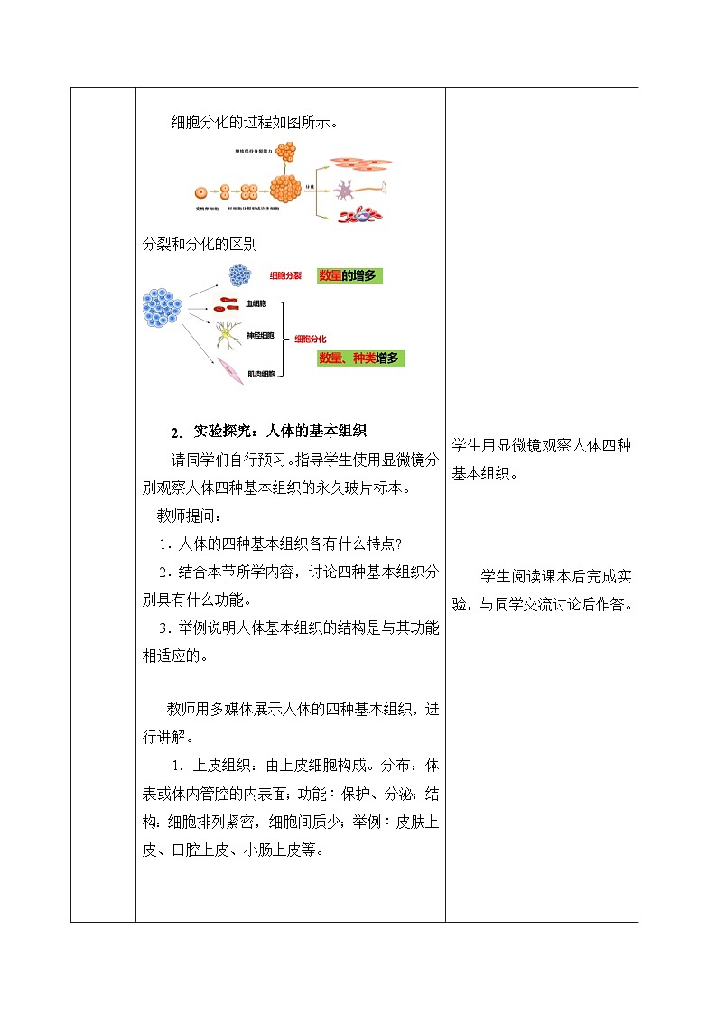 人教版(2024)七年级生物上册1.3.2 动物体的结构层次 教案第3页