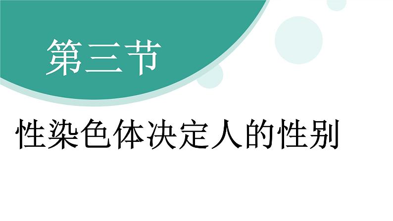 济南版(2024)生物七年级下册 4.3.3 性染色体决定人的性别(课件)第3页