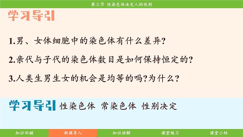 济南版(2024)生物七年级下册 4.3.3 性染色体决定人的性别(课件)第6页