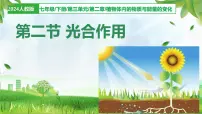 生物七年级下册（2024）第二节 光合作用教案配套课件ppt