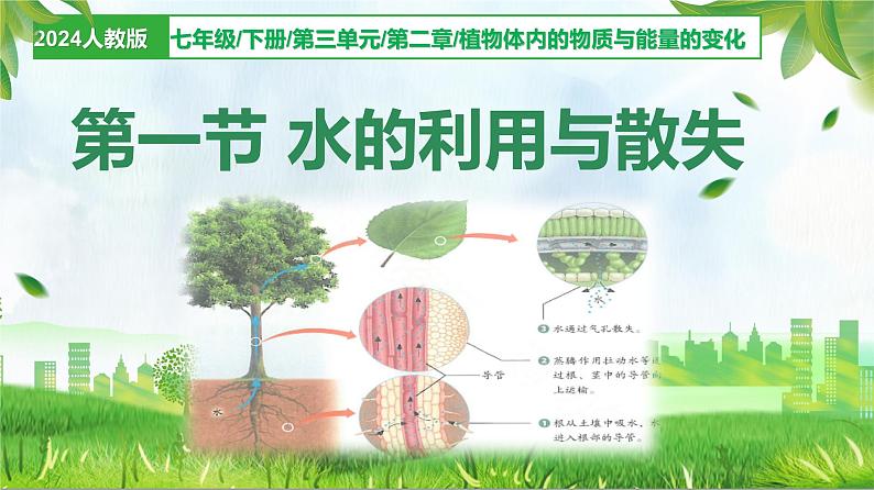 3.2.1水的利用与散失(课件)-2024-2025学年七年级生物下册同步(人教版2024)第1页