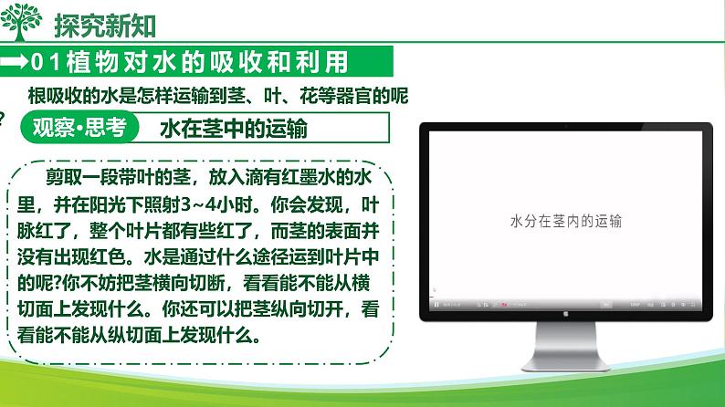 3.2.1水的利用与散失(课件)-2024-2025学年七年级生物下册同步(人教版2024)第8页