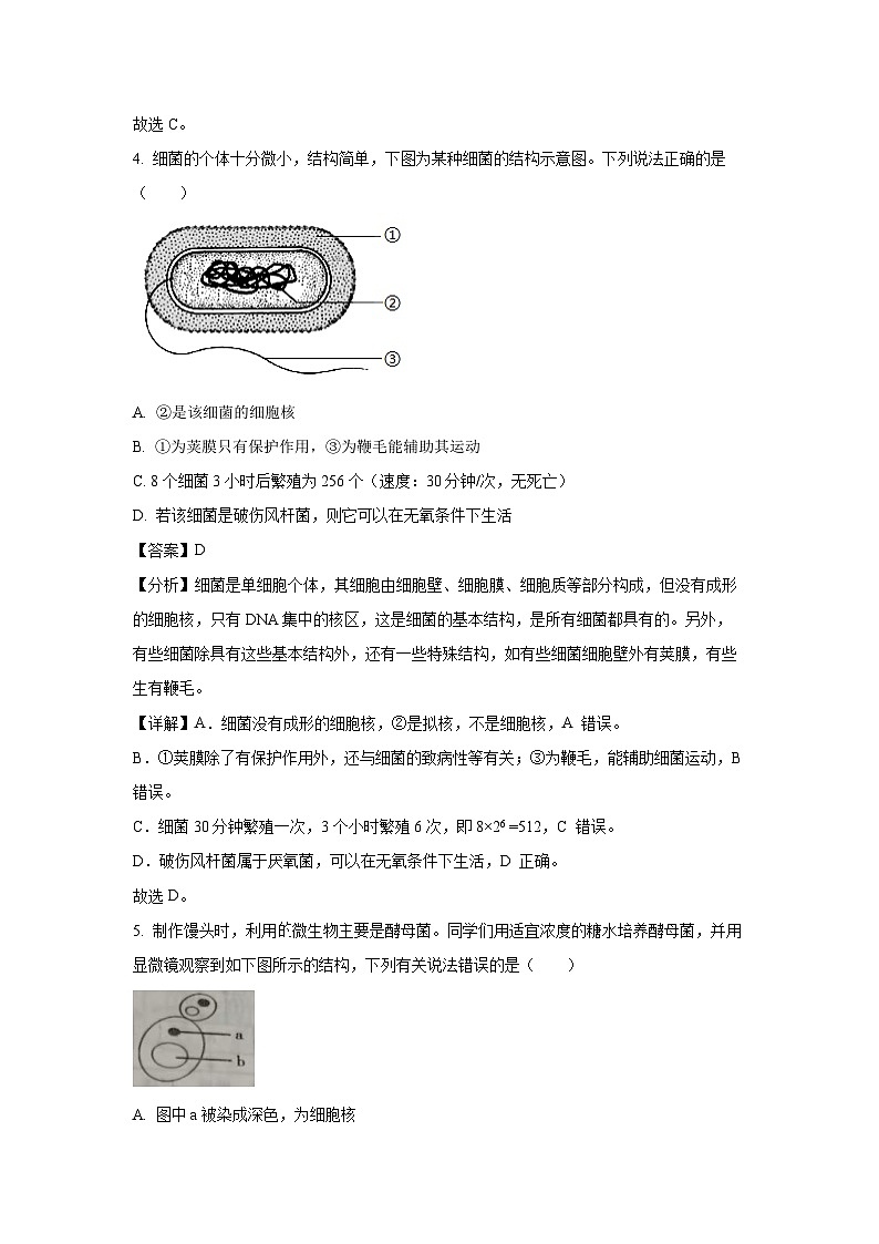 河北省唐山市2024-2025学年八年级上学期期末生物试卷(解析版)第3页