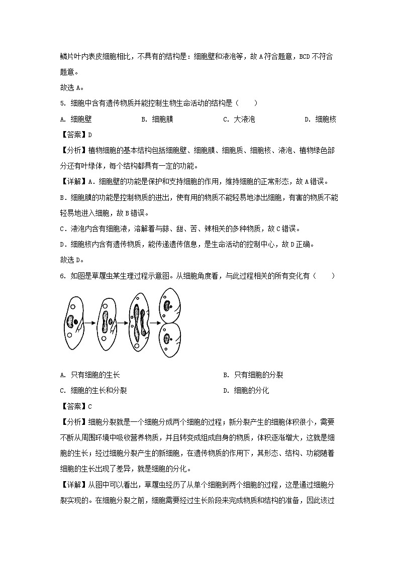 北京市延庆区2024-2025学年七年级上学期期末生物试卷(解析版)第3页