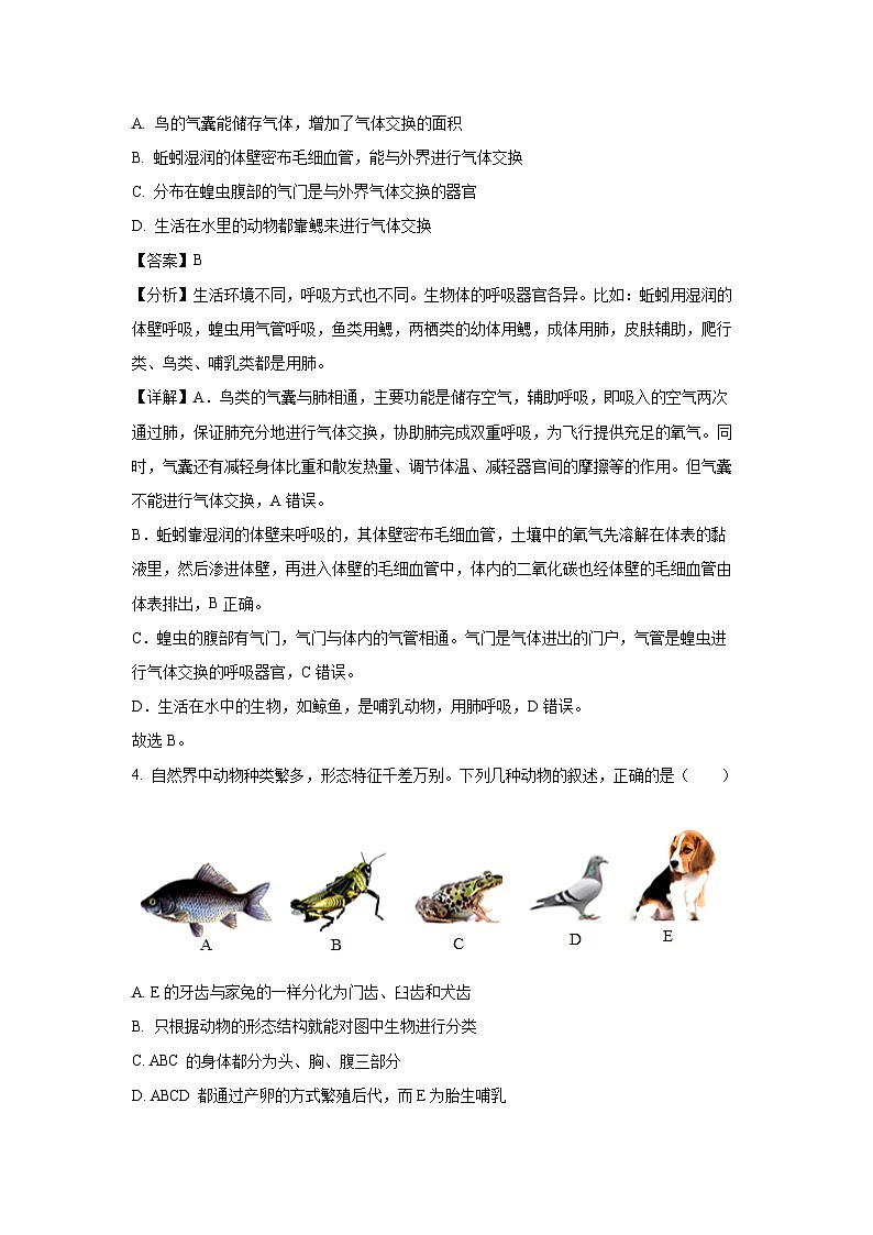 四川省眉山市洪雅县校际联合2024-2025学年八年级上学期期末生物试卷(解析版)第2页