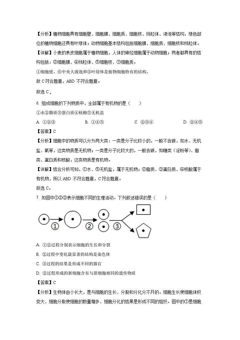 安徽省蚌埠市2024-2025学年七年级上学期期末生物试卷(解析版)第3页
