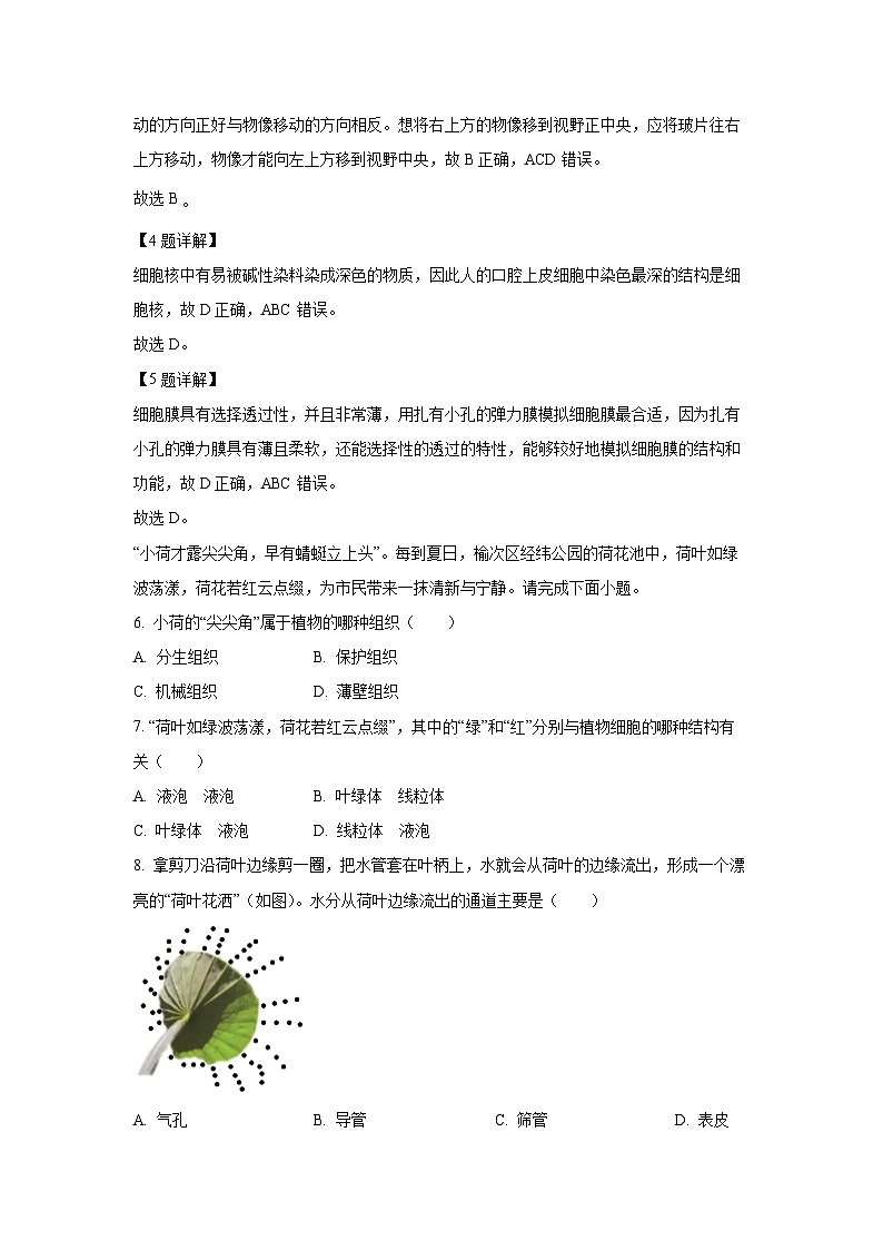 山西省晋中市榆次区2024-2025学年七年级上学期期末生物试卷(解析版)第3页