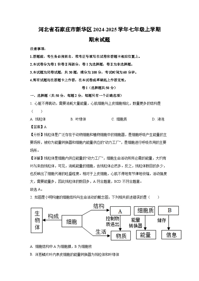 河北省石家庄市新华区2024-2025学年七年级上学期期末生物试卷(解析版)第1页