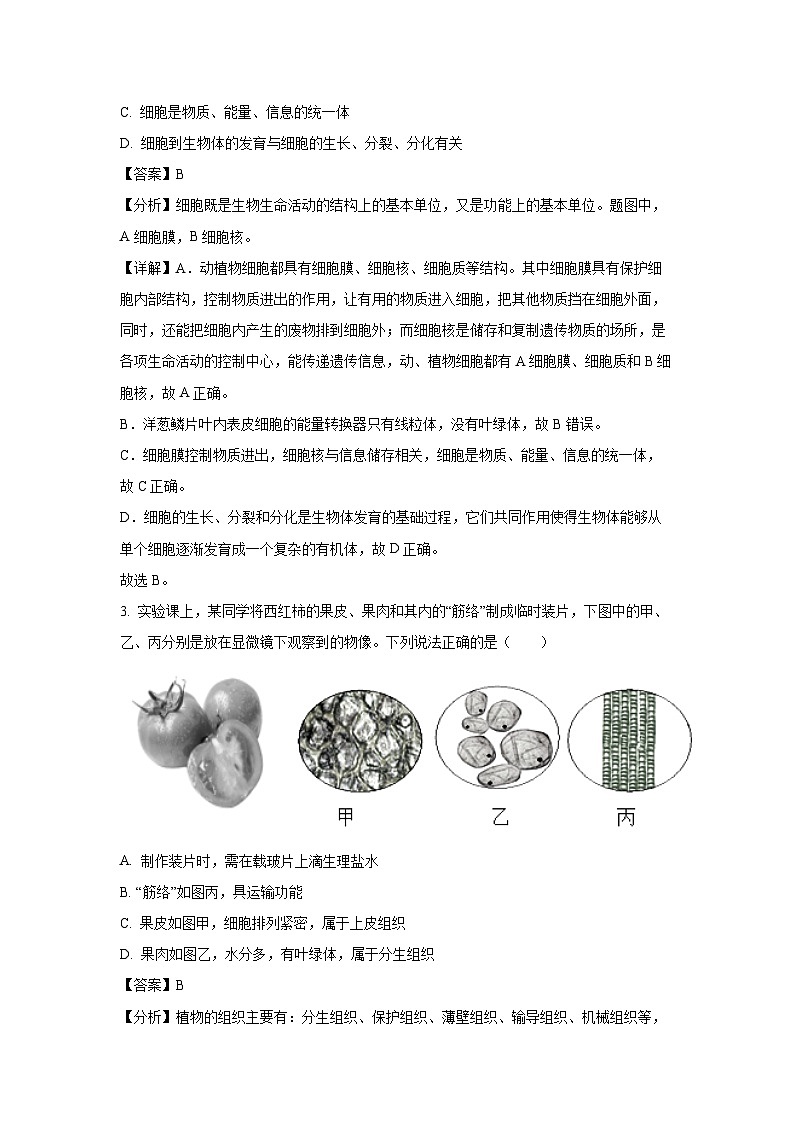 河北省石家庄市新华区2024-2025学年七年级上学期期末生物试卷(解析版)第2页