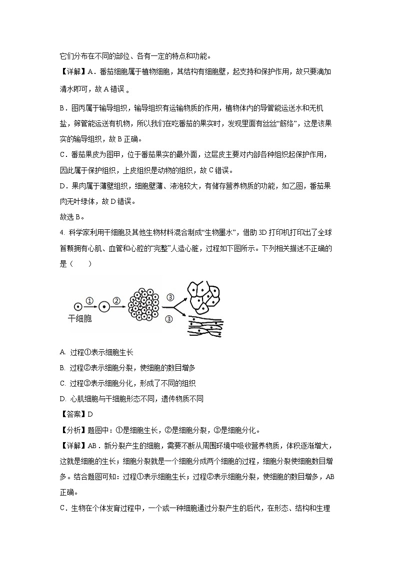 河北省石家庄市新华区2024-2025学年七年级上学期期末生物试卷(解析版)第3页