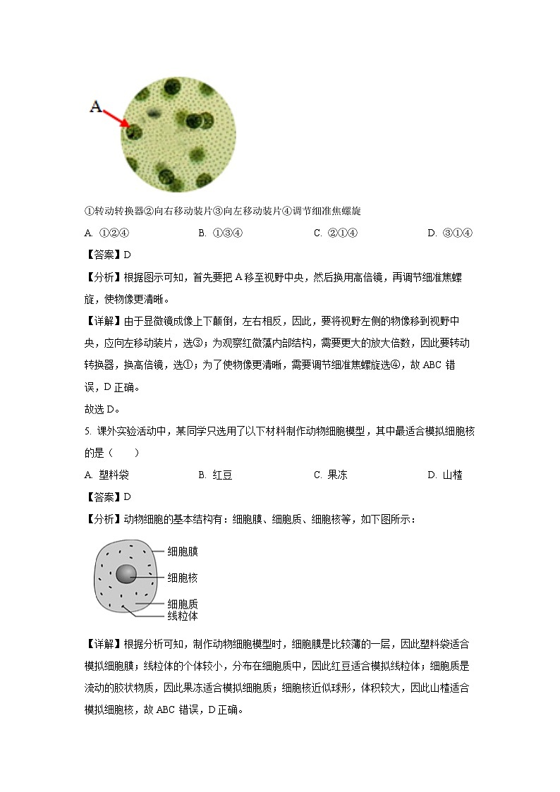 湖南省永州市祁阳市2024-2025学年七年级上学期期末生物试卷(解析版)第3页